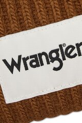 Зимняя шапка Wrangler цена и информация | Мужские шарфы, шапки, перчатки | kaup24.ee