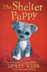 Shelter Puppy цена и информация | Книги для подростков и молодежи | kaup24.ee