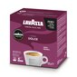 Kohvikapslid Lavazza A Modo Mio Lungo Dolce, 128g, 16 tk цена и информация | Kohv, kakao | kaup24.ee