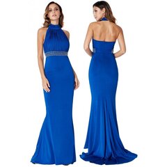 Женственное праздничное ярко-синее платье макси с открытой спиной цена и информация | Платья | kaup24.ee