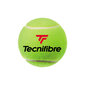 Tennisepallid Tecnifibre X-ONE, 4 palli hind ja info | Välitennise tooted | kaup24.ee