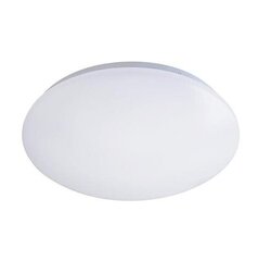 LED plafoon 12W 4000K цена и информация | Потолочные светильники | kaup24.ee