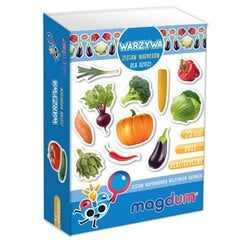 Овощной набор магнитов МВ 6032-12 цена и информация | Развивающие игрушки | kaup24.ee