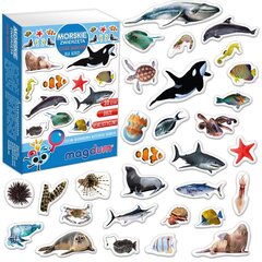 Magnetiliste mereloomade komplekt MV 6032-18 hind ja info | Arendavad mänguasjad | kaup24.ee