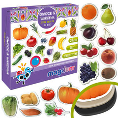 Набор фруктово-овощных магнитов 50 шт. MV 6032-42 цена и информация | Развивающие игрушки | kaup24.ee