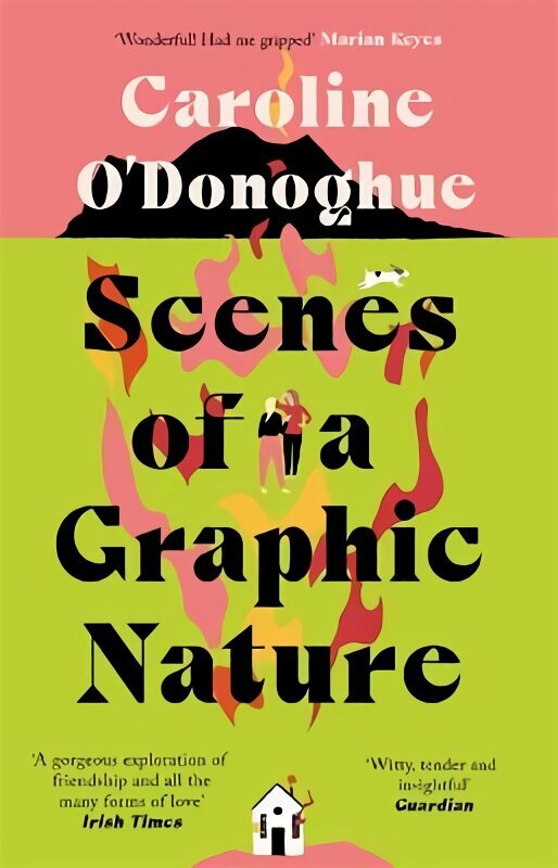 Scenes of a Graphic Nature: 'A perfect page-turner . . . I loved it' - Dolly Alderton цена и информация | Fantaasia, müstika | kaup24.ee