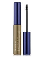 Brow Now Gel (volumeeriv kulmutoon) 1,7 ml hind ja info | Ripsmetušid, lauvärvid, silmapliiatsid, seerumid | kaup24.ee