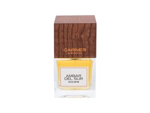 Custo Barcelona Ambar Del Sur EDP 100ml цена и информация | Женские духи | kaup24.ee