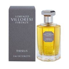 Lorenzo Villoresi Theseus EDT 100ml hind ja info | Naiste parfüümid | kaup24.ee