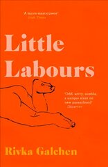 Little Labours цена и информация | Биографии, автобиогафии, мемуары | kaup24.ee