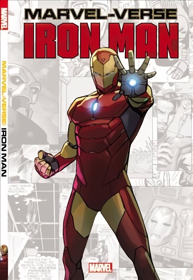 Marvel-verse: Iron Man hind ja info | Fantaasia, müstika | kaup24.ee