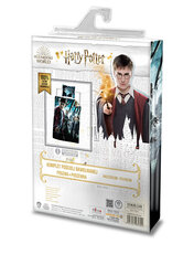 Laste voodipesukomplekt Harry Potter, 140 x 200 cm, 2-osaline hind ja info | Voodipesukomplektid | kaup24.ee