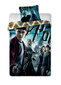 Laste voodipesukomplekt Harry Potter, 140 x 200 cm, 2-osaline hind ja info | Voodipesu | kaup24.ee