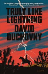 Truly Like Lightning: A Novel цена и информация | Фантастика, фэнтези | kaup24.ee
