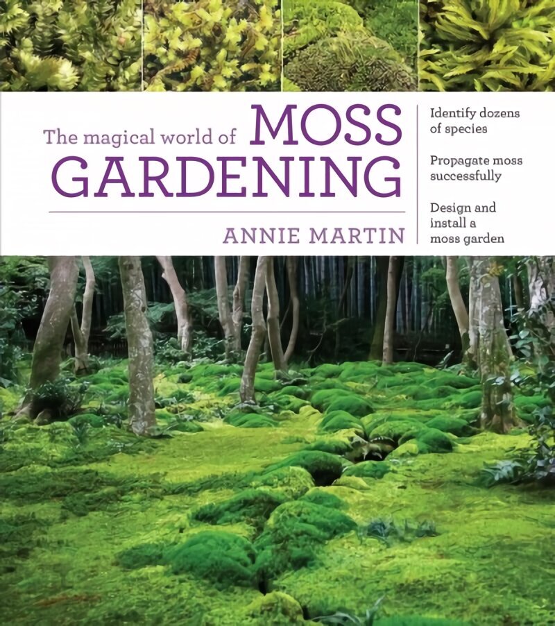 Magical World of Moss Gardening hind ja info | Aiandusraamatud | kaup24.ee