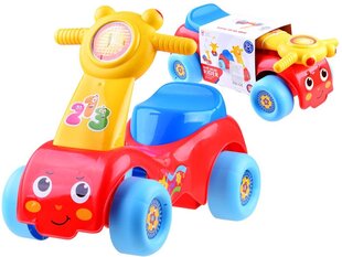 Lapsetõukur ZA3410 hind ja info | Imikute mänguasjad | kaup24.ee