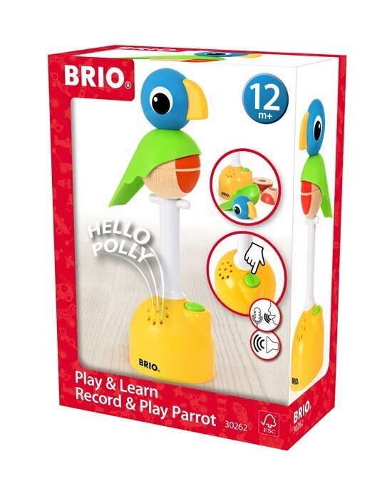 Interaktiivne mänguasi Play & Learn Parrot Brio, 30262 hind ja info | Imikute mänguasjad | kaup24.ee