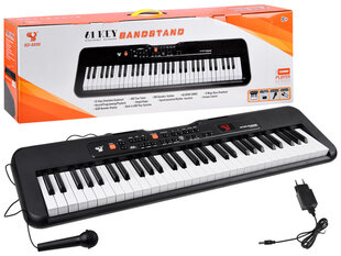 Klaveri klaviatuur SD-S850 ja mikrofon, 61 klahvi IN0143 hind ja info | Arendavad mänguasjad | kaup24.ee