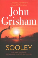 Sooley: The Gripping Bestseller from John Grisham - The perfect Christmas present цена и информация | Фантастика, фэнтези | kaup24.ee