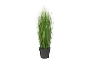 Kunsttaim Onion Grass 76 cm hind ja info | Kunstlilled | kaup24.ee