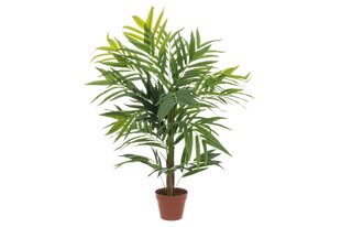 Kunstlik Kentia palm 107 cm hind ja info | Kunstlilled | kaup24.ee