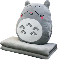 Мягкая игрушка 3in1 Totoro XL цена и информация | Мягкие игрушки | kaup24.ee