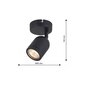 Milagro Wall lamp PORTER 1XGU10 IP44 hind ja info | Laelambid | kaup24.ee