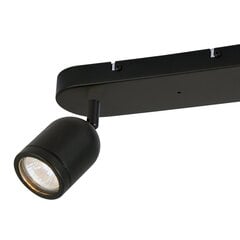 светильник, 2xgu10 ip44 цена и информация | Потолочные светильники | kaup24.ee