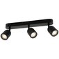 Milagro Ceiling lamp PORTER 3XGU10 IP44 цена и информация | Laelambid | kaup24.ee