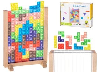 Puzzle tetrise pidev mäng hind ja info | Arendavad mänguasjad | kaup24.ee