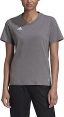 Adidas Entrada 22 Jersey W HC0439 HC0439 hind ja info | Naiste spordiriided | kaup24.ee