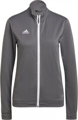 Naiste hüppaja adidas Entrada 22 Rada hall H57527 hind ja info | Naiste spordiriided | kaup24.ee