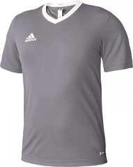 Adidas T-shirt adidas Entrada 22 Jersey M HE1574 HE1574 цена и информация | Мужская спортивная одежда | kaup24.ee