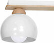 Milagro Ceiling lamp DAMA WHITE 3xE27 цена и информация | Laelambid | kaup24.ee