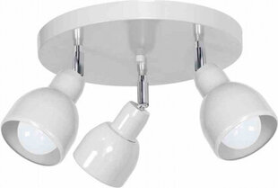 Milagro Ceiling lamp PIK WHITE 3xE27 цена и информация | Потолочные светильники | kaup24.ee