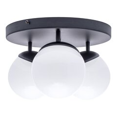 Milagro Ceiling lamp SFERA BLACK 3xE14 hind ja info | Laelambid | kaup24.ee