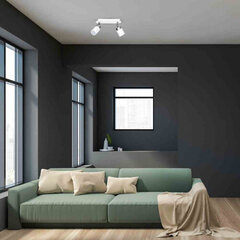 Milagro JOKER WHITE 2xGU10 ceiling lamp hind ja info | Laelambid | kaup24.ee