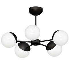 Milagro Chandelier SFERA BLACK 5xE14 цена и информация | Потолочные светильники | kaup24.ee