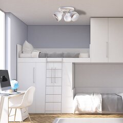 Milagro OVAL WHITE 3xE27 ceiling lamp hind ja info | Laelambid | kaup24.ee