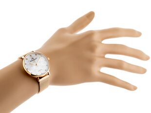 женские часы bisset bsbf32 (zb581g) - защитное стекло цена и информация | Мужские часы | kaup24.ee