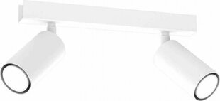 Milagro HUDSON WHITE 2xGU10 ceiling lamp цена и информация | Потолочные светильники | kaup24.ee