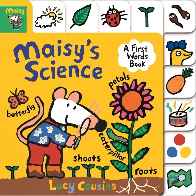 Maisy's Science: A First Words Book hind ja info | Väikelaste raamatud | kaup24.ee