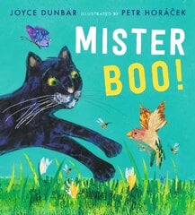 Mister Boo! hind ja info | Väikelaste raamatud | kaup24.ee
