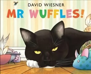 Mr Wuffles! цена и информация | Книги для малышей | kaup24.ee