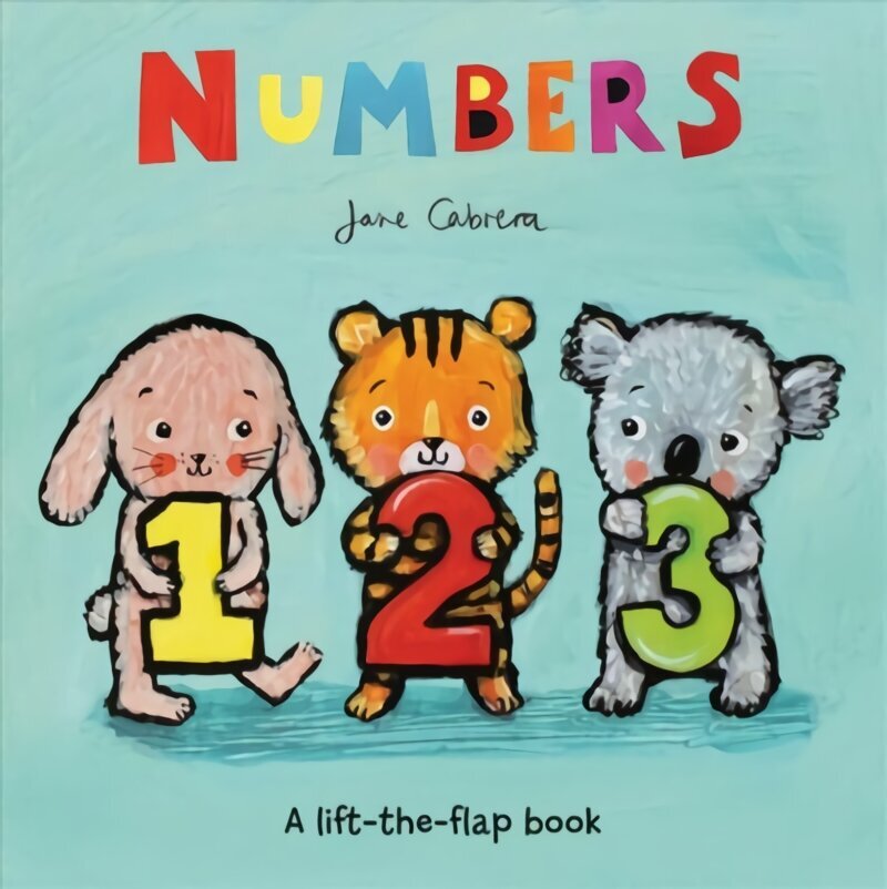 Numbers hind ja info | Väikelaste raamatud | kaup24.ee