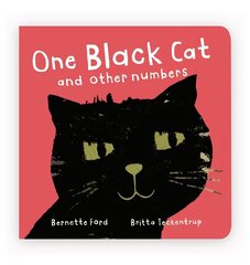 One Black Cat and other numbers hind ja info | Väikelaste raamatud | kaup24.ee