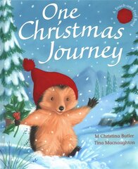 One Christmas Journey hind ja info | Väikelaste raamatud | kaup24.ee