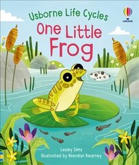 One Little Frog hind ja info | Väikelaste raamatud | kaup24.ee