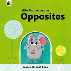 Opposites: A peep-through book цена и информация | Книги для малышей | kaup24.ee