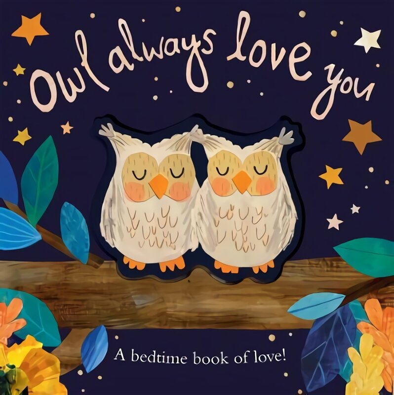 Owl Always Love You: A bedtime book of love! цена и информация | Väikelaste raamatud | kaup24.ee